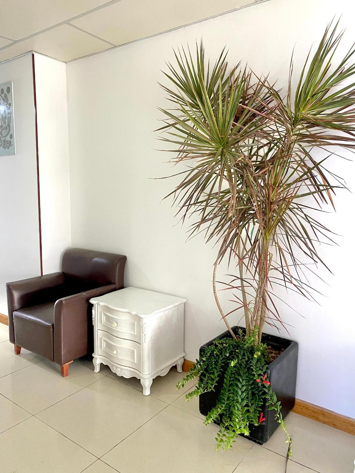 Zozo House - Homestay Bai Sau Vung Tau Bagian luar foto